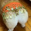 Dog Belly Dance Costume Corgi Dog Waist Chain Butt Curtain Clothes with