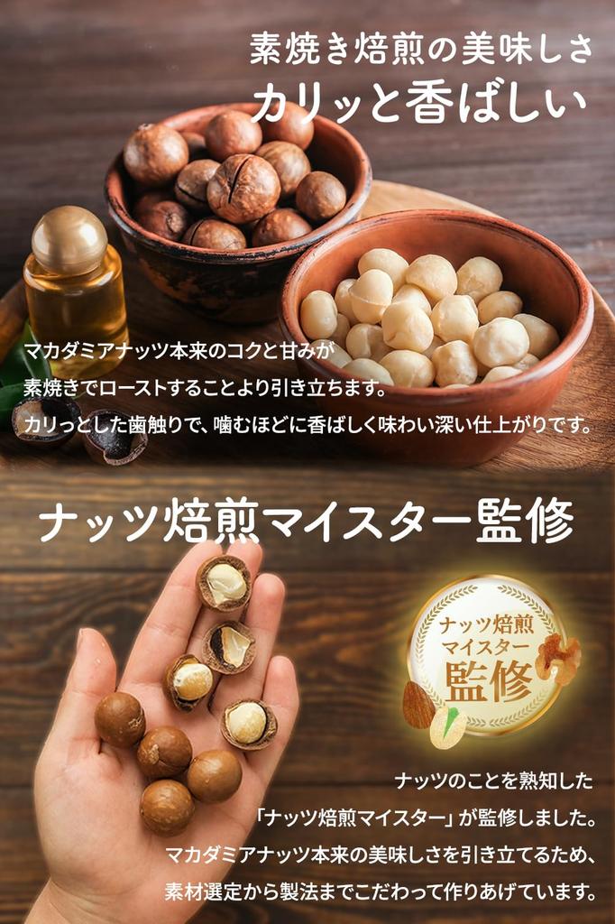 Sairin Shoten Macadamia Nuts Raw Unsalted Oil-Free Additive-Free 550g South Africa Origin