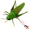 Tipmant RC Кузнечик Игрушка-животное на радиоуправлении Симуляция Электронное насекомое Транспортное средство Подарок на день рождения для детей