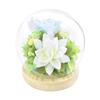Tokai Seiro Preserved Flower Glass Dome Four Seasons Sphere Summer C27350 X H112mm Approx. 100mm