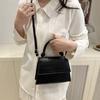 2025 зима новая французская корейская версия для通勤 портативная маленькая квадратная сумка простая личность тренд темперамент плечевая сумка мессенджер