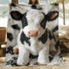 1pc Cozy Cows Print Flannel Blanket - Soft Warm Polyester Fleece Throw for Sofa Bed Travel - All Seasons Chunky Knit Blanket