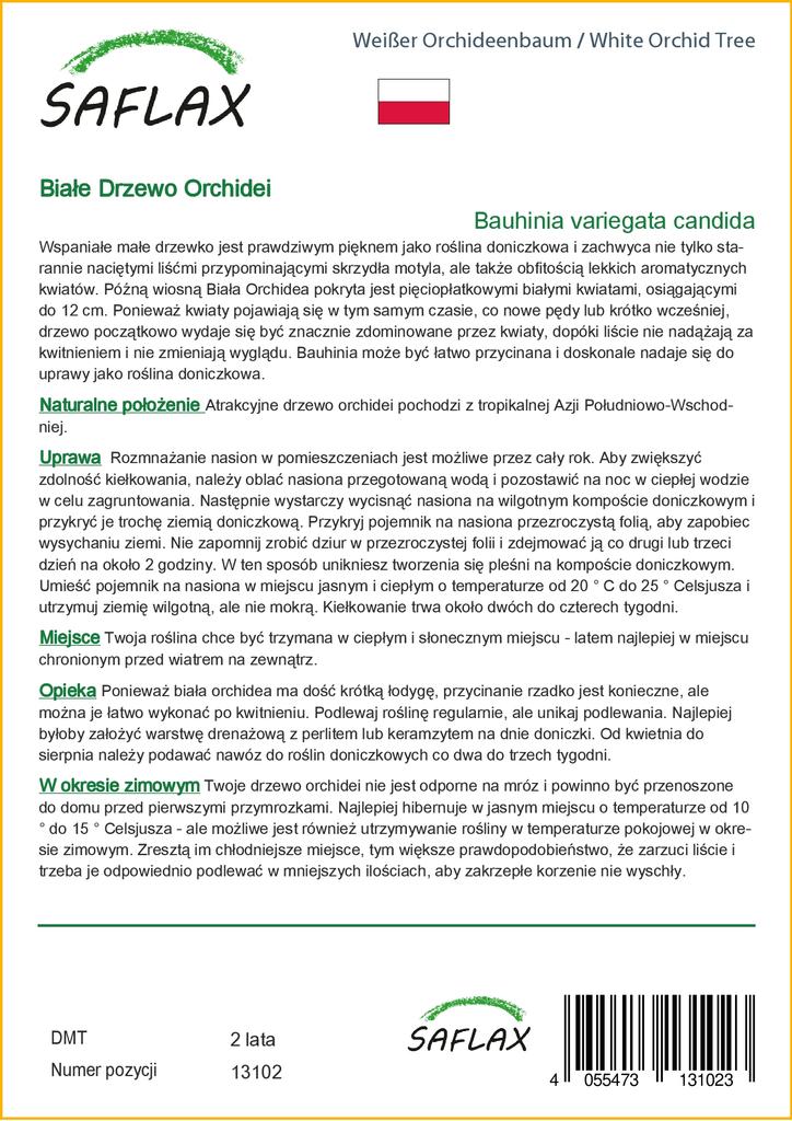 SAFLAX Белая орхидея - 5 семян - Bauhinia variegata candida