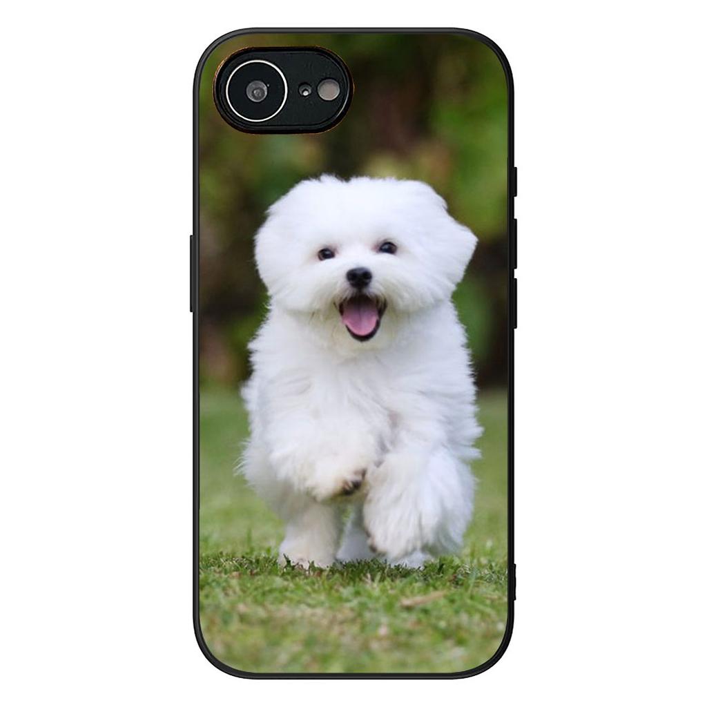 Bichon Frise Pomeranian Dog Phone Case for Samsung Galaxy Note 20 9 10 S8 S10 Lite S9 Plus A54 A53 A21S S10E A17 Cover Casing