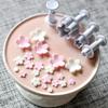 4Pcs/Set Plum Blossom Flower Plunger Fondant Cutter Sugarcraft Cake Decorating Tools DIY Cookie Baking Accessories Kitchen