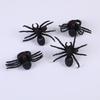 Halloween Fake Spiders and Plastic Spider Web