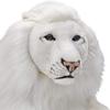 White Lion 65 BH6364