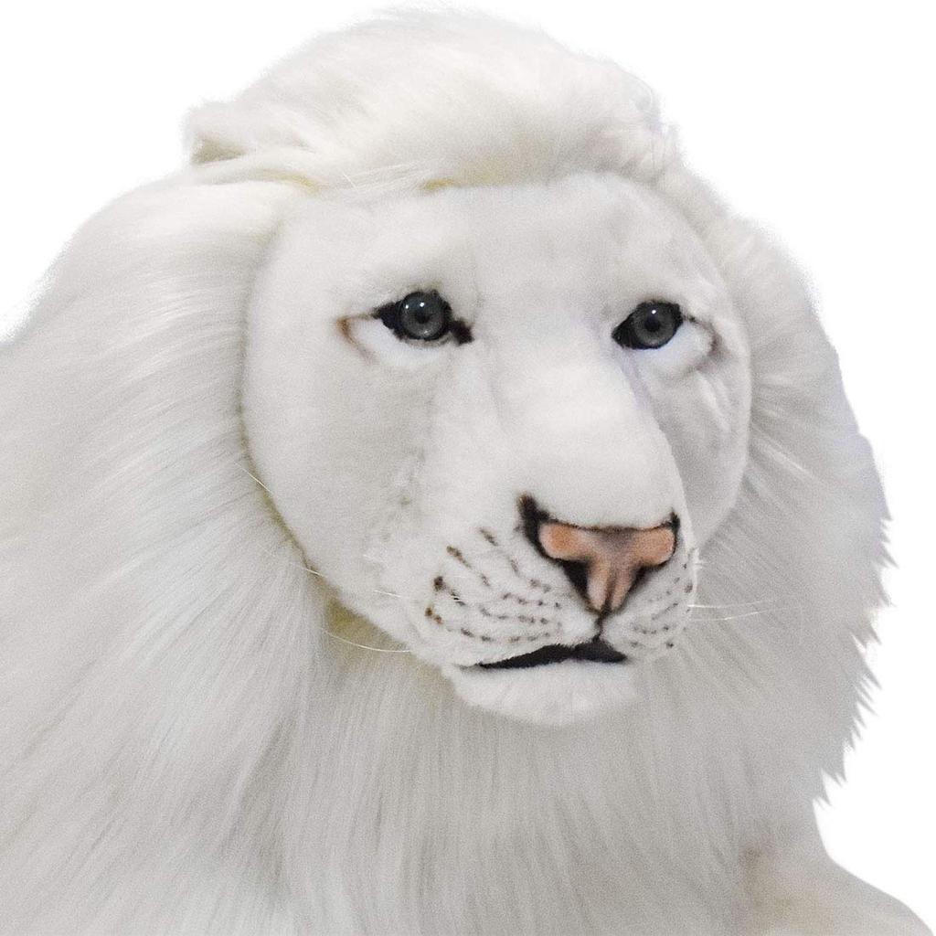 White Lion 65 BH6364