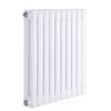YUQILONG 5025 Steel Two-Column Vertical Radiator
