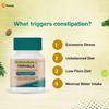 Naturolax-A Triphala Ayurvedic Tablets Pack Of 2 Relieves Constipation And Bloating Supports Digestive Health With Natural Gut Care 60 Tablets Each