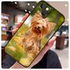Мини-чехол Йоркширский терьер для iPhone 14 Pro Max 16 15 11 12 13 17 Pro Max mini 15 16 Plus 16e 17 Air Чехол для телефона