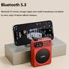 Мини Цифровое FM Радио HD Дисплей 76-108 МГц Радио Беспроводной Bluetooth 5.3 Динамик Портативный Усилитель Голоса с Слотом для TF-карты USB