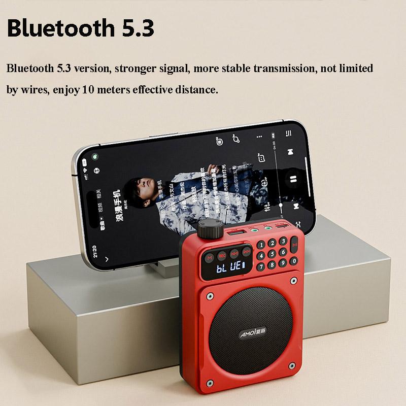 Мини Цифровое FM Радио HD Дисплей 76-108 МГц Радио Беспроводной Bluetooth 5.3 Динамик Портативный Усилитель Голоса с Слотом для TF-карты USB