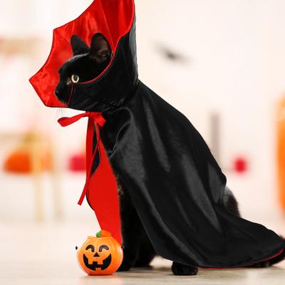 Хэллоуинский костюм для собаки Плащ Хэллоуинский костюм кошки Платье на день рождения Одежда питомца Вампир Жуткий плащ для маленьких и средних собак кошек