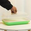 Hydroponic Seedling Tray for Soilless Growing: Vegetable, Bean, Wheat, Garlic Cultivation