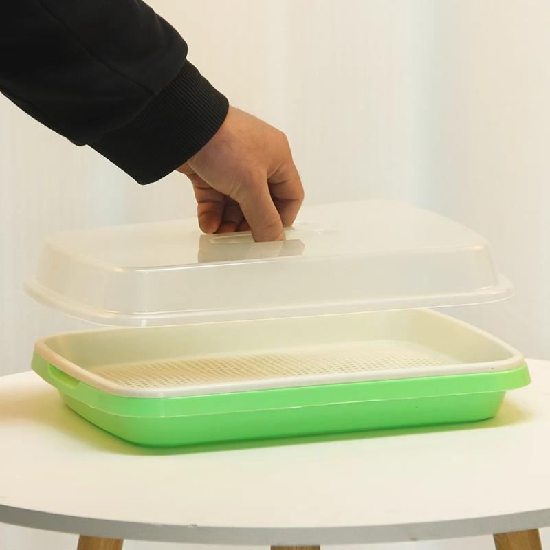 Hydroponic Seedling Tray for Soilless Growing: Vegetable, Bean, Wheat, Garlic Cultivation