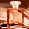 Chanel Coco Mademoiselle Туалетная вода-спрей Классическая версия, Ограниченный подарочный набор Аромат Potpourri 100 мл