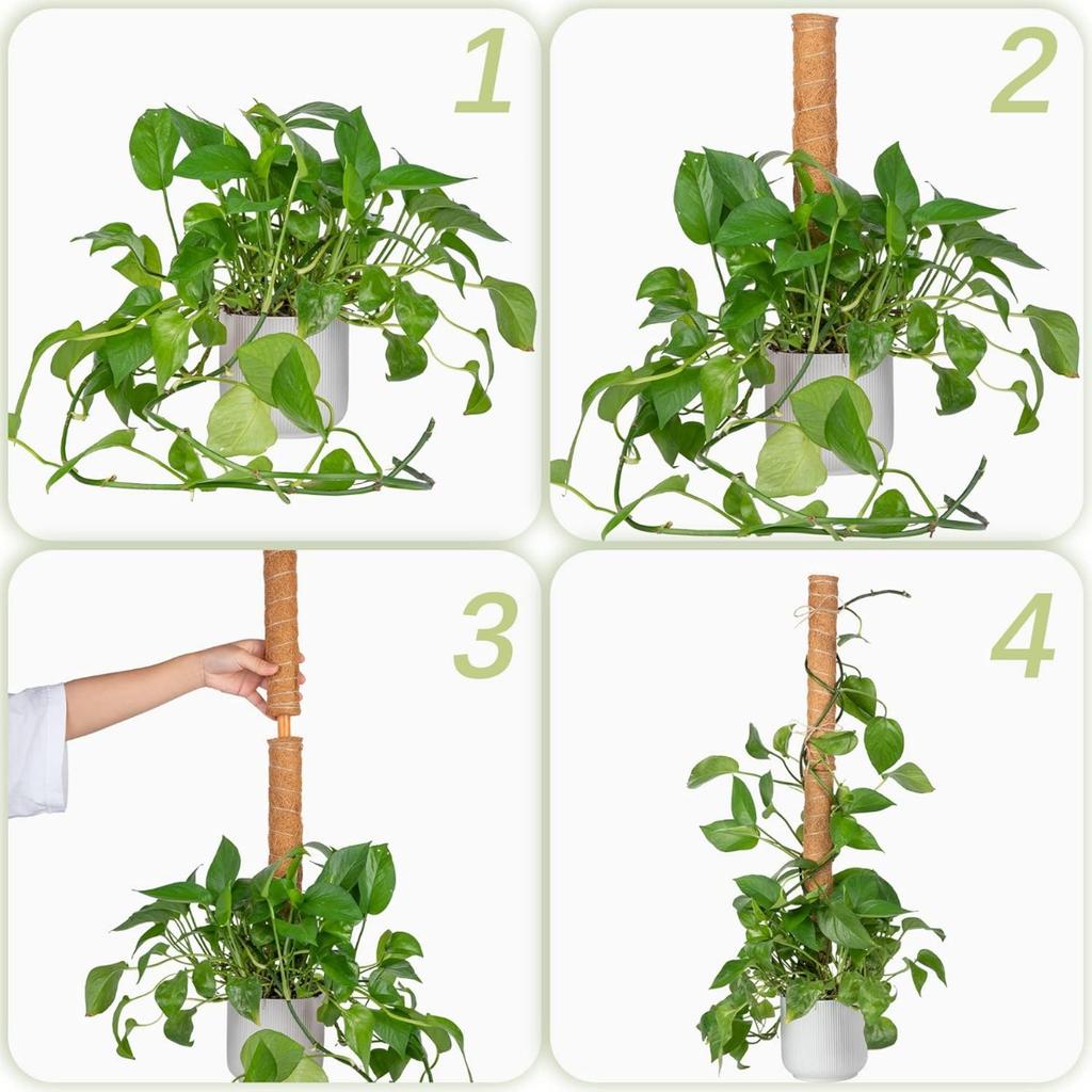 Monstera 30cm Moss Stick Plant Pole for Climbing Plants Coir Totem Plant Support for Indoor Potted Plants Train Creeper Plants Grow Upwards