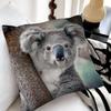 Cute Koala Pillow Case Fashion Square Pillowcase Bedroom Sofa Room Ins Decoration Leisure