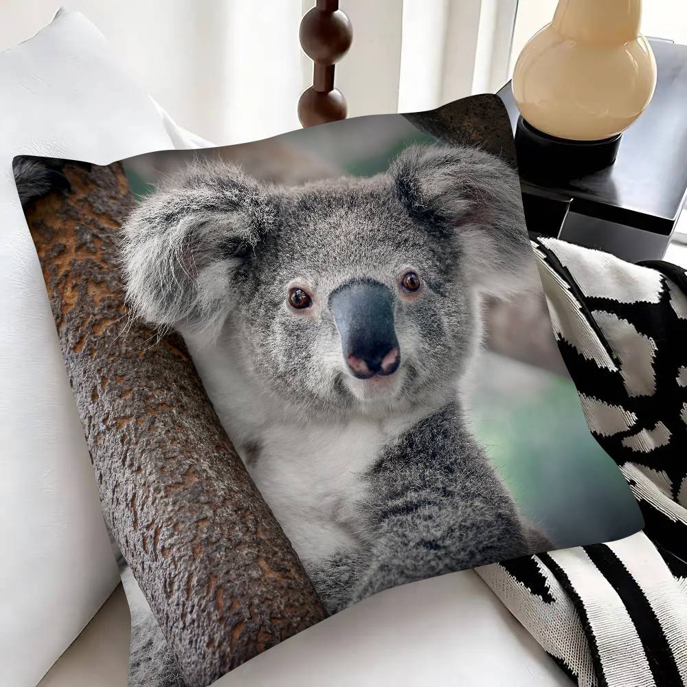 Cute Koala Pillow Case Fashion Square Pillowcase Bedroom Sofa Room Ins Decoration Leisure