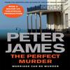 The Perfect Murder by Peter James Paperback Book 9781447266037