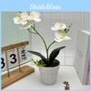 Two Realistic Branches Butterfly Orchid Green Plant Bonsai For Decor Indoor