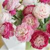 3 головки шелкового букета пионов с одной веткой, имитация цветка, новые искусственные пионы, растения