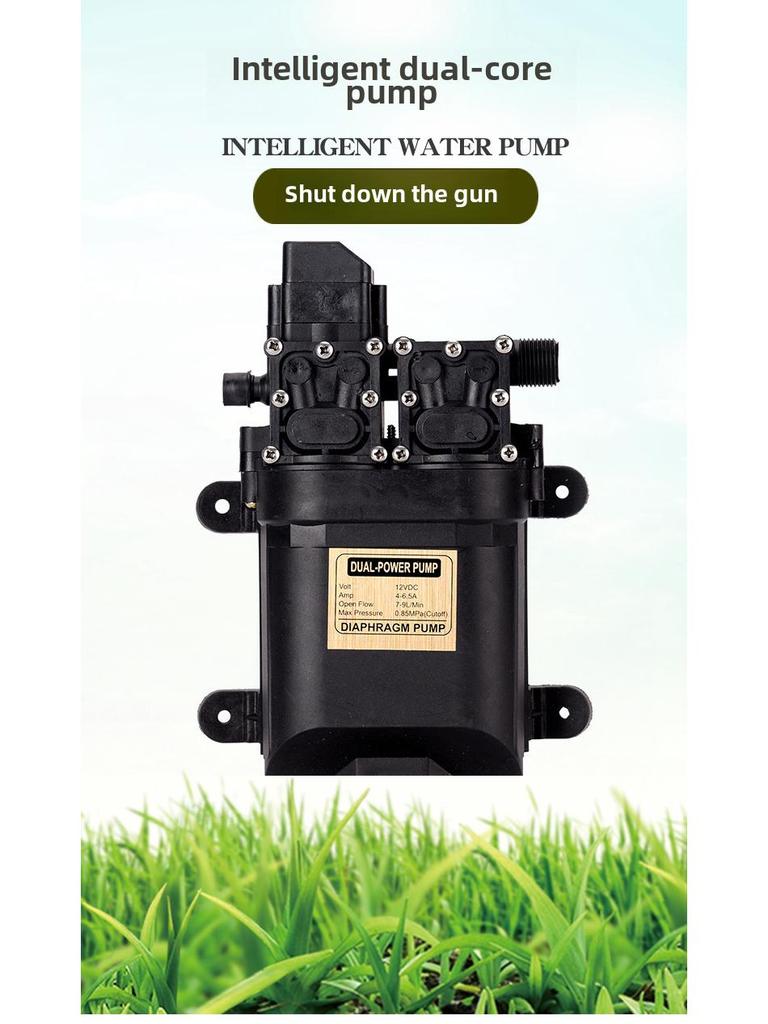 Электрический самовсасывающий водяной насос 12 В для автомойки и распылителя-дрона