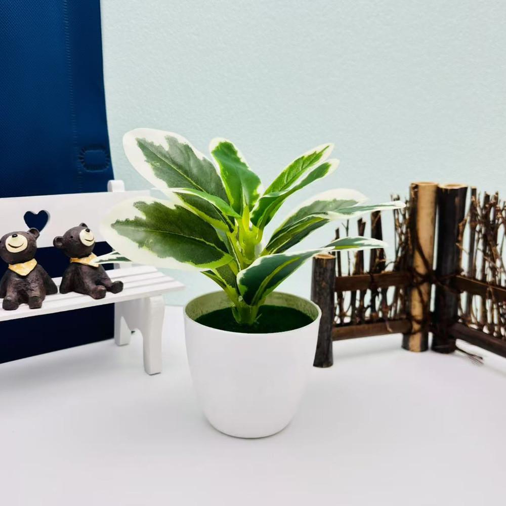 Эпипремнум Золотистый Фиттония Альбивенис Растение в горшке для домашнего декора Настольные акценты