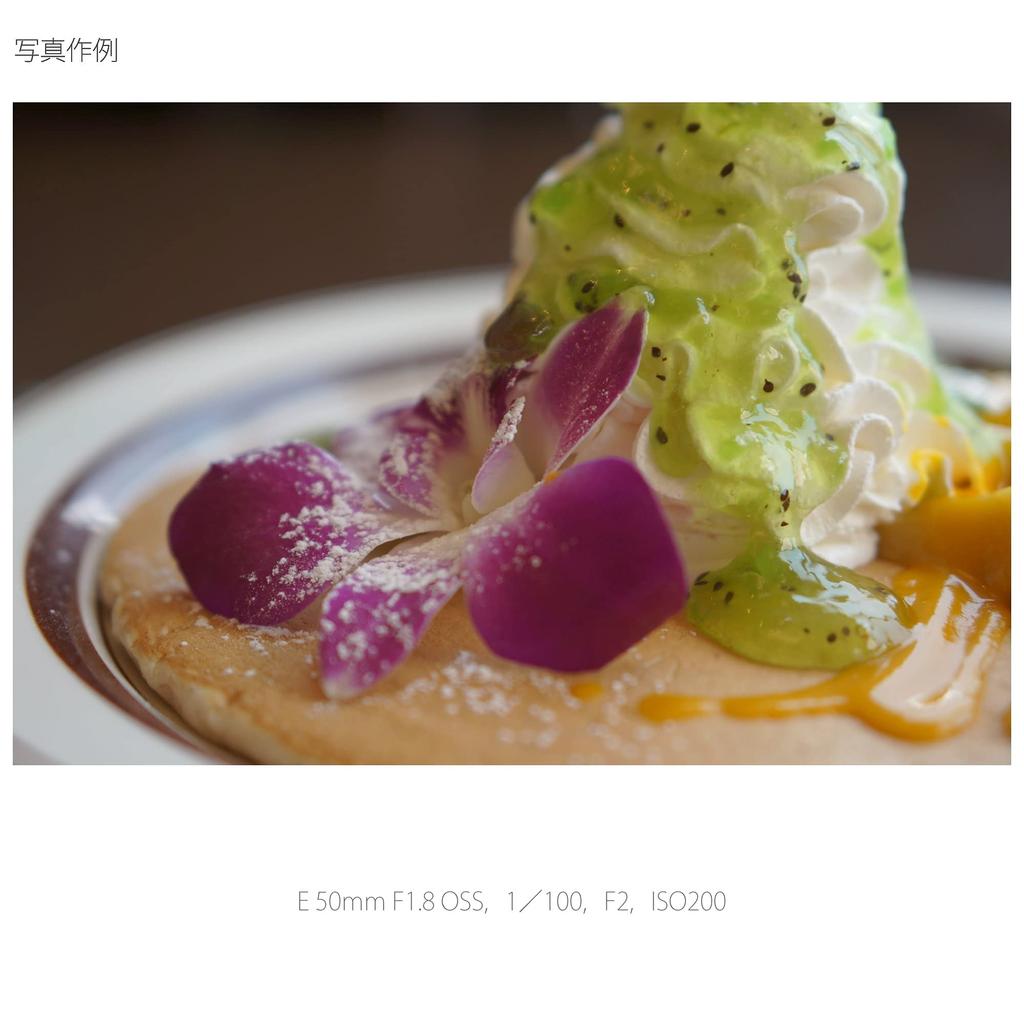 Sony Single Focus Lens E 50mm OSS Format Only F1.8 APS-C