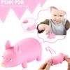 Decompression  Pig Toy, Slow Cute Fun Venting, Slow Decompression Artefacts