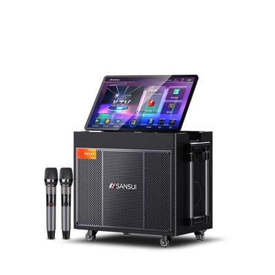 SANSUI Портативная уличная звуковая система KTV и караоке CN вилка (адаптер в комплекте)