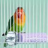 MultiFunctional Parrots Cage Accessories 4PCS Resin Perches Promoting Healthy Beak Wear