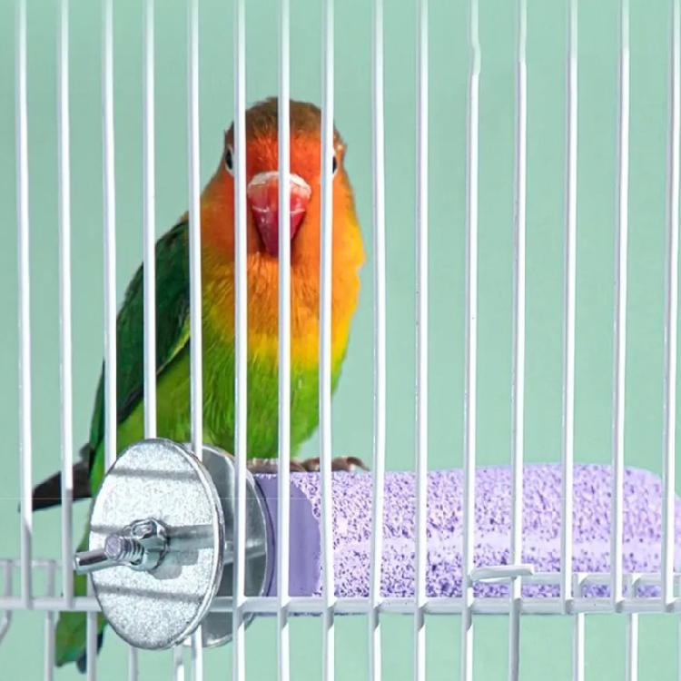 MultiFunctional Parrots Cage Accessories 4PCS Resin Perches Promoting Healthy Beak Wear