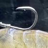6/12Pcs Live Shrimp Fixing Hook Heavy Duty Carbon Steel Barbed Fishhook with Hole Freshwater Saltwater Fishing Hook Fishing Accessories