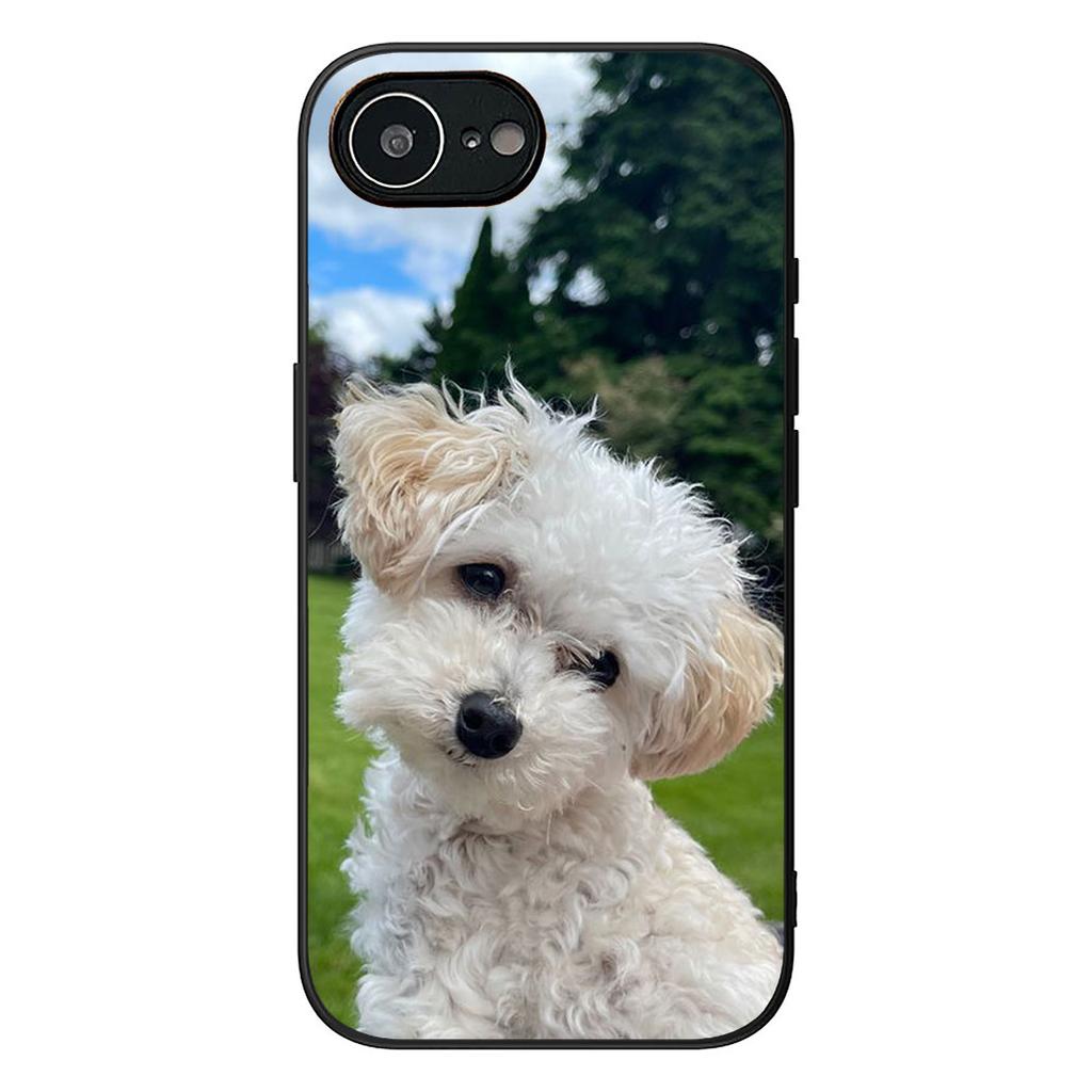 Bichon Frise Pomeranian Dog Phone Case for Samsung Galaxy Note 20 9 10 S8 S10 Lite S9 Plus A54 A53 A21S S10E A17 Cover Casing