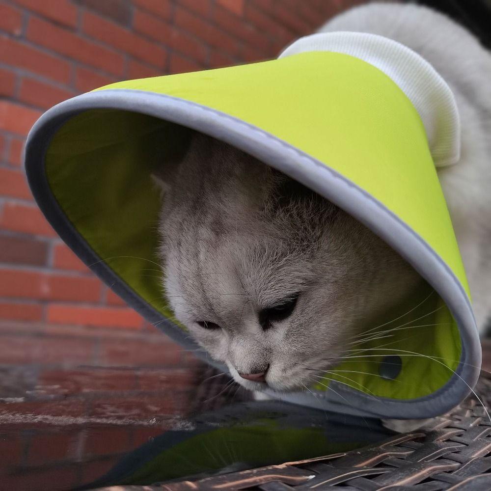 Lightweight Elizabethan Collars Anti-bite Cat Wound Recovery Sleeve Cute Cat Cone Collar Dogs