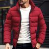 Мужское пальто с воротником-стойкой, длинным рукавом, застежкой-молнией, стеганая куртка, однотонное утолщенное свободное пуховое пальто с боковыми карманами
