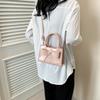 Trendy Women's Mini Handbag 2024 Spring New Shoulder Bag Street Style Casual Crossbody Bag