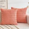 2 pieces/set Cozy Soft Corduroy Pillowcase Velvet Texture Reversible Sided Throw Pillow Striped Design Cushion Cover Sofa Decor
