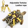 Регулируемый поводок для черепахи и набор для скейтборда, упряжь для тренировок на открытом воздухе и мини-скейтборд для пальцев для мелких домашних животных, бородатого дракона, ящерицы, черепахи