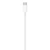 Apple USB-C To Lightning Cable (1 M)
