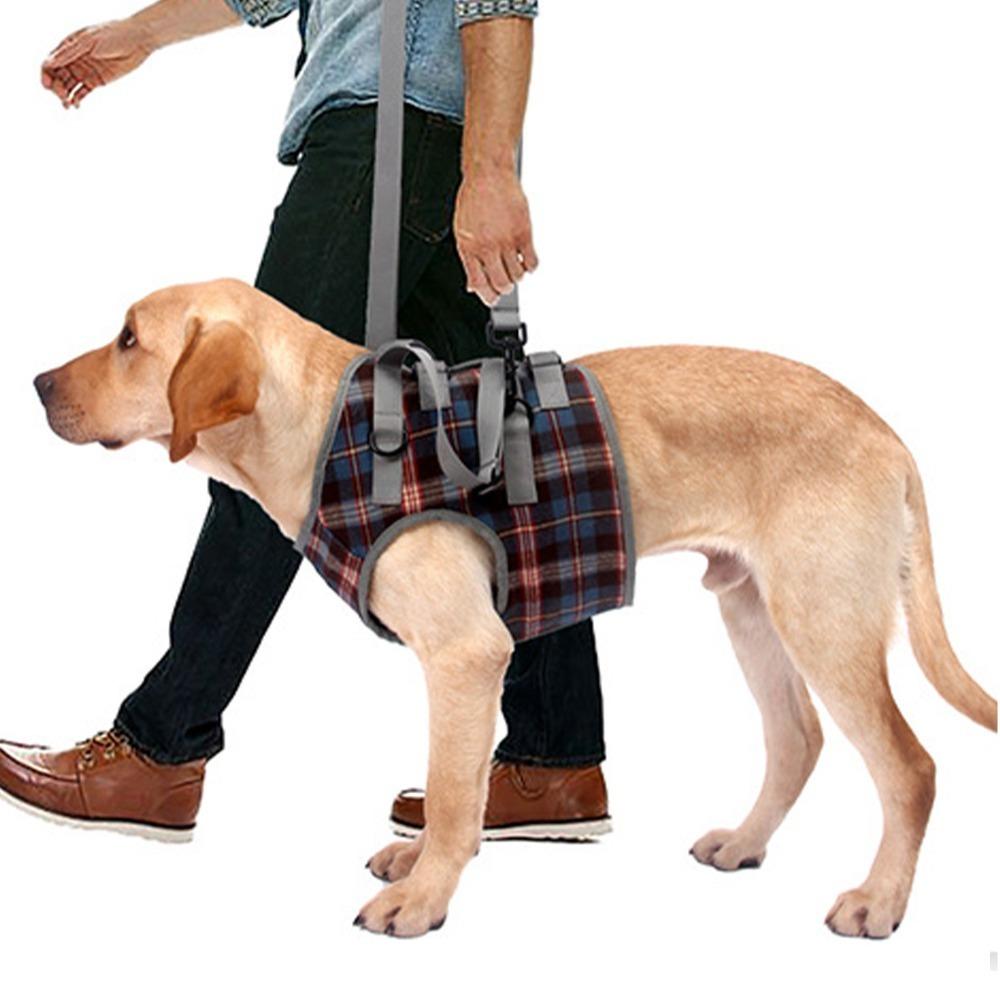 Soft Fabric Dog Leg Support Harness Multi Sizes Disabled Dog Mobility Strap  Arthritic Old Dog Walk