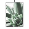 Abstrat Girl Lines Succulents Leaf Minimalist Wall Art Canvas  Posters PaintingAnd Prints Wall Pictures For Living Room Decor