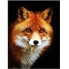 Full Round/Square 5D Diy Diamond Painting Cute Fox Diamond Embroidery Cross Stitch Kits Home Decor Handmade Gifts