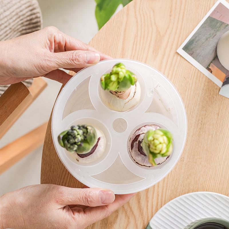 Гиацинт Тюльпан Семена Гидропонный Цветочный горшок 3/5 Отверстий Горшки для Растений Беспочвенный Растительный Горшок Ленивый Гидропонный Цветочный горшок Домашнее Украшение