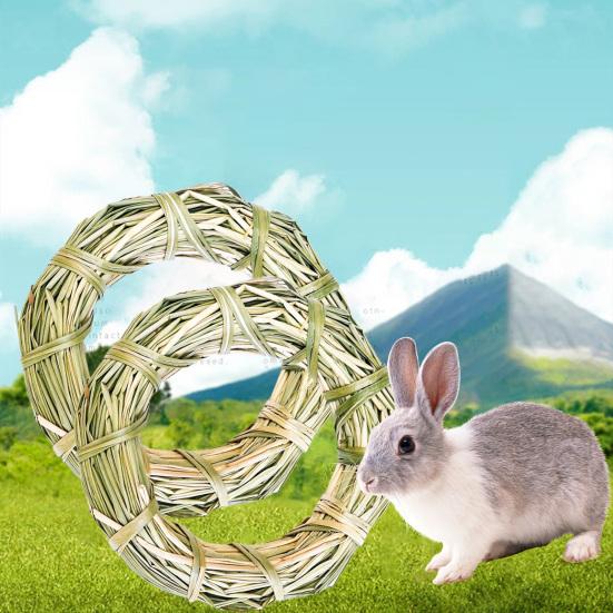 Molar Toy Multifunctional Attractive Natural Grass Ring Rabbit Toy for Bunny