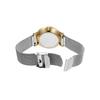 Watch KUPPEL LILLE SKW3101 Silver [Skagen] Women's
