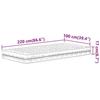 VidaXL Matelas en mousse blanc 100x220 cm dureté H2 H3,matelas de lit,matelas rafraîchissant,matelas souple,matelas 4016640