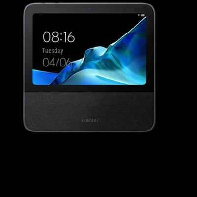 Xiaomi Smart Home Screen Pro 8 Динамик Штепсель CN (адаптер в комплекте)